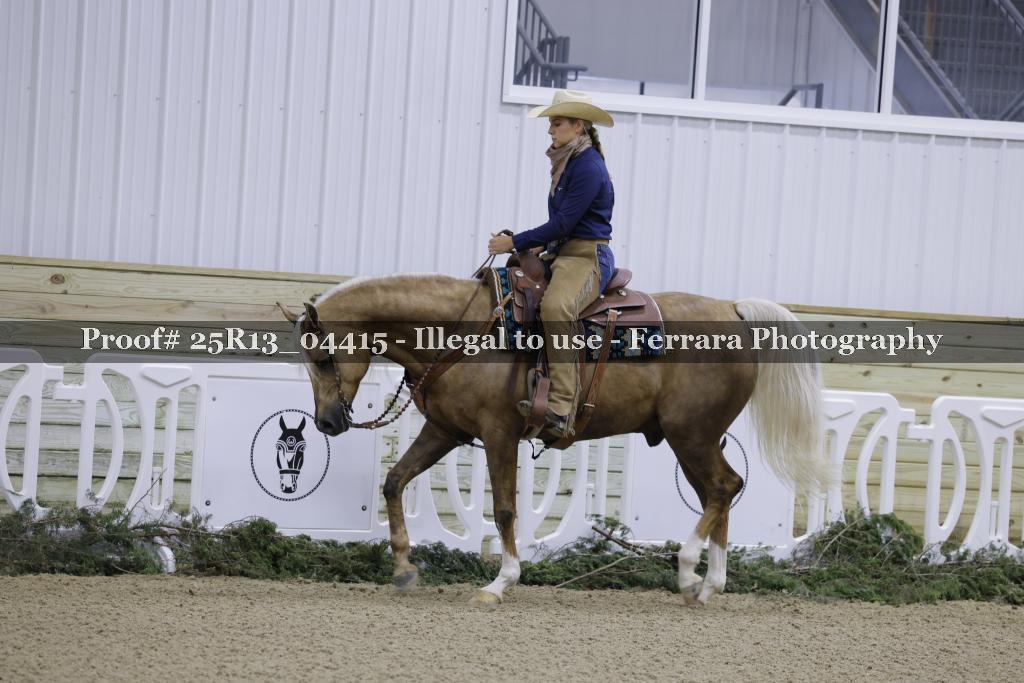 Proof 25R13_04415