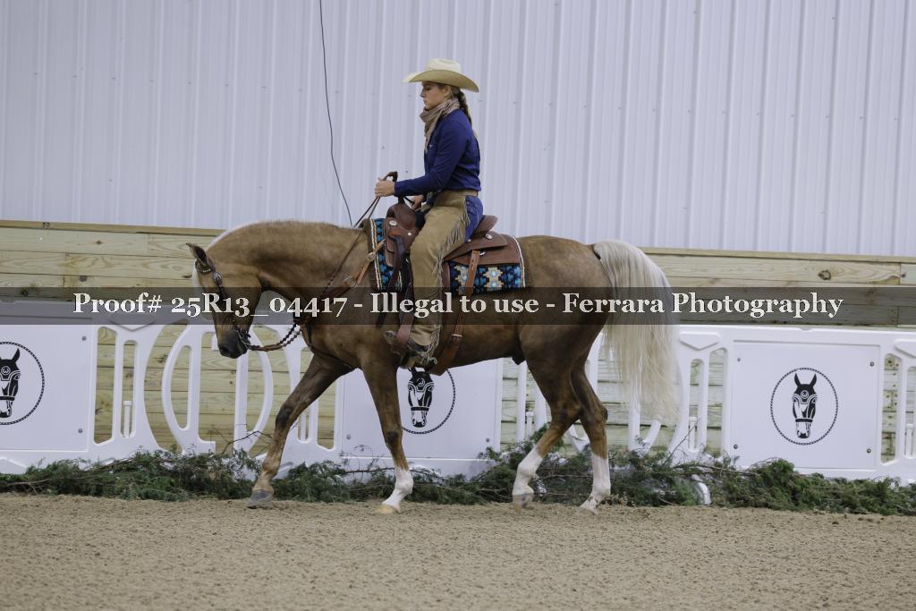 Proof 25R13_04417