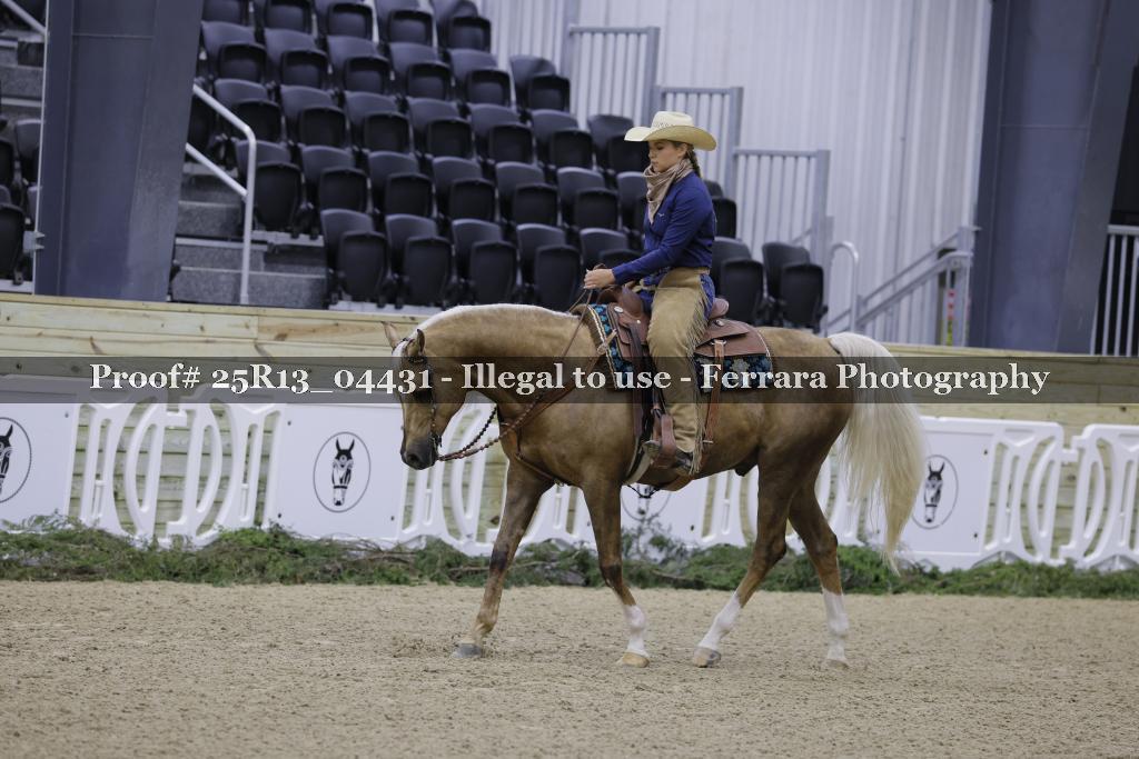 Proof 25R13_04431