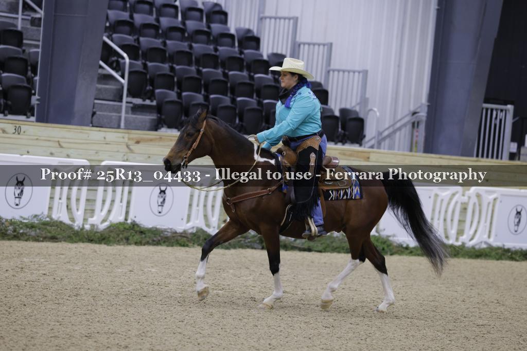 Proof 25R13_04433