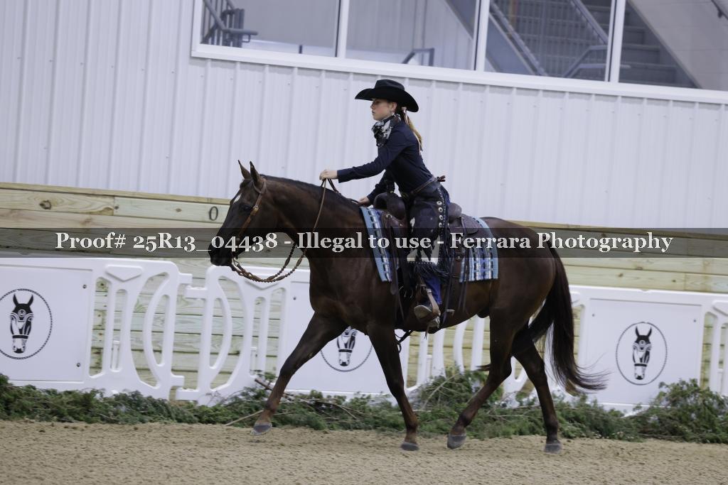 Proof 25R13_04438
