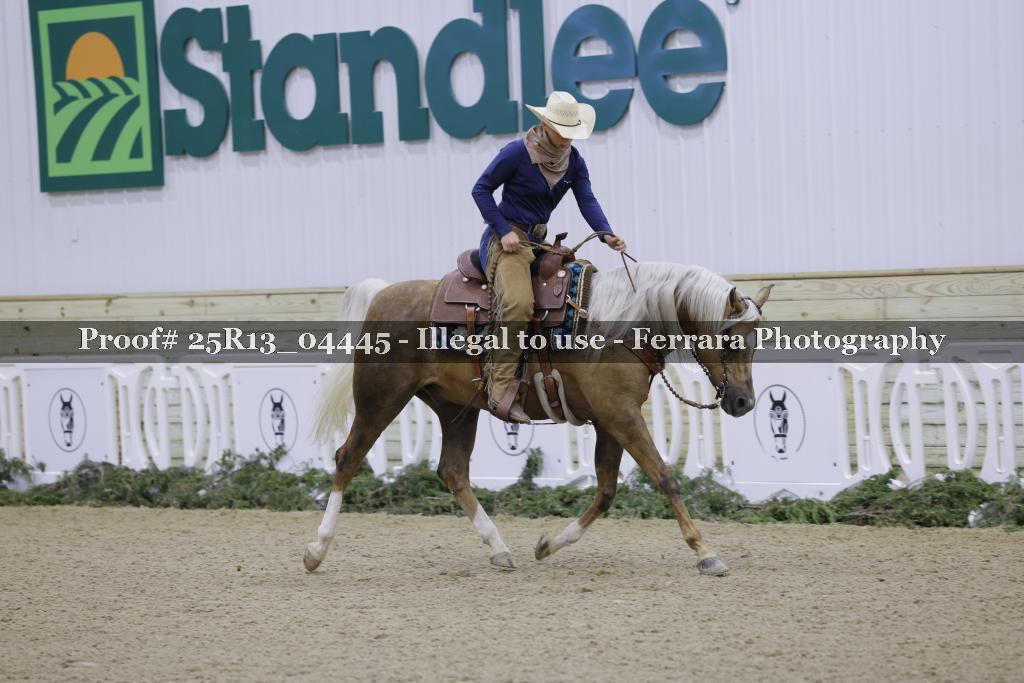 Proof 25R13_04445
