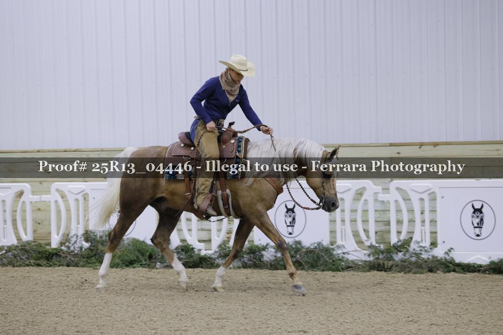 Proof 25R13_04446