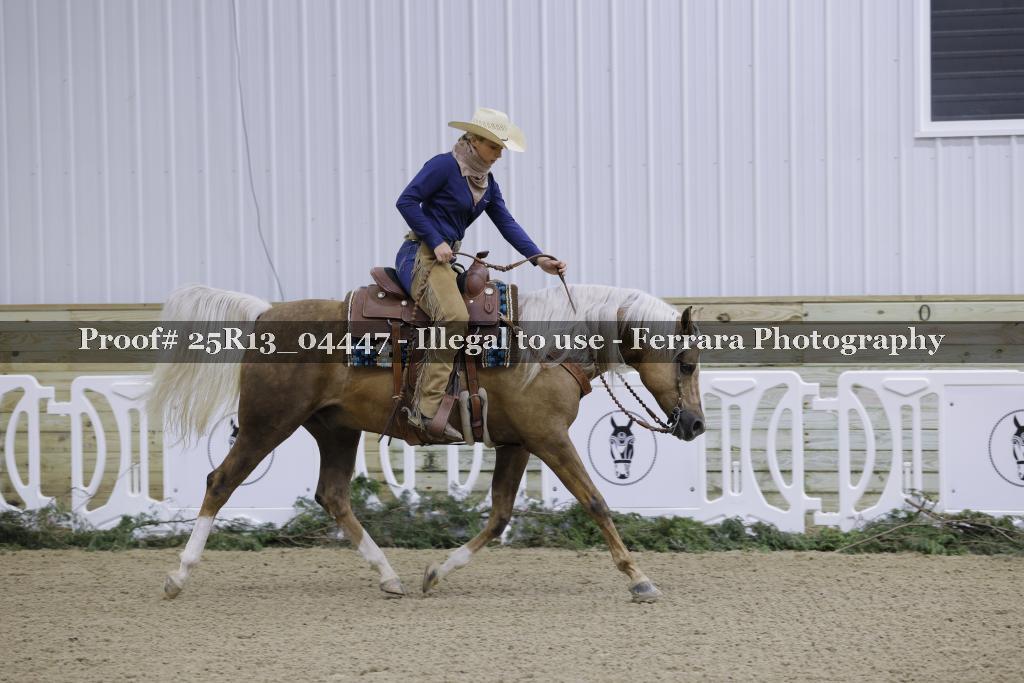 Proof 25R13_04447