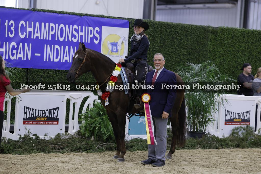 Proof 25R13_04450
