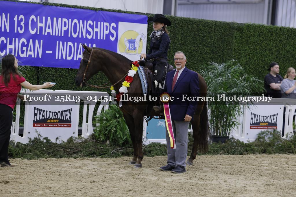 Proof 25R13_04451