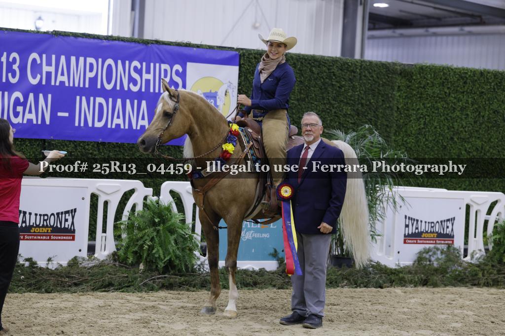 Proof 25R13_04459