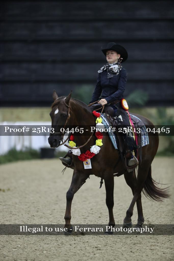 Proof 25R13_04465