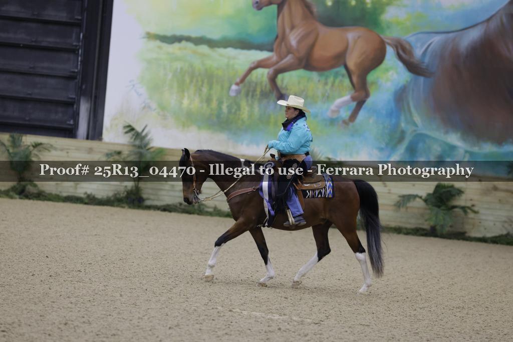 Proof 25R13_04470