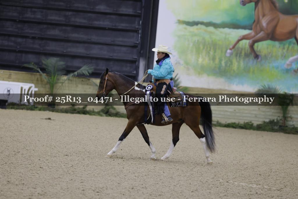 Proof 25R13_04471