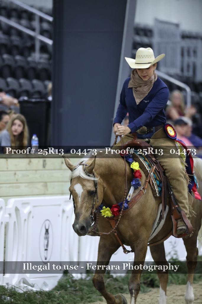 Proof 25R13_04473