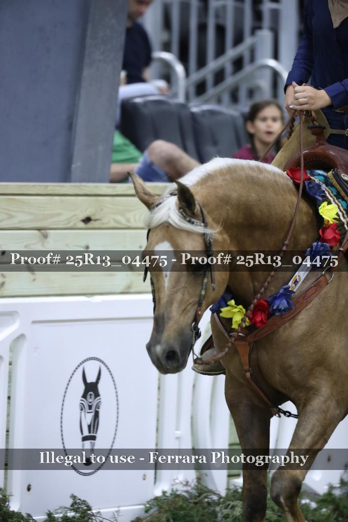 Proof 25R13_04475