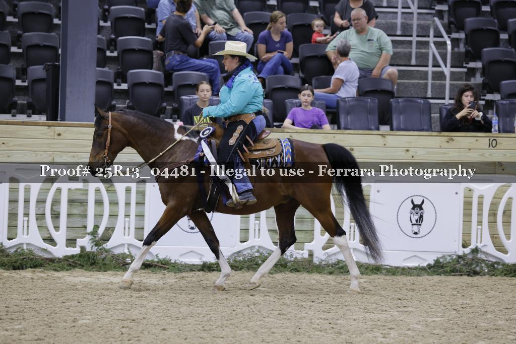 Proof 25R13_04481