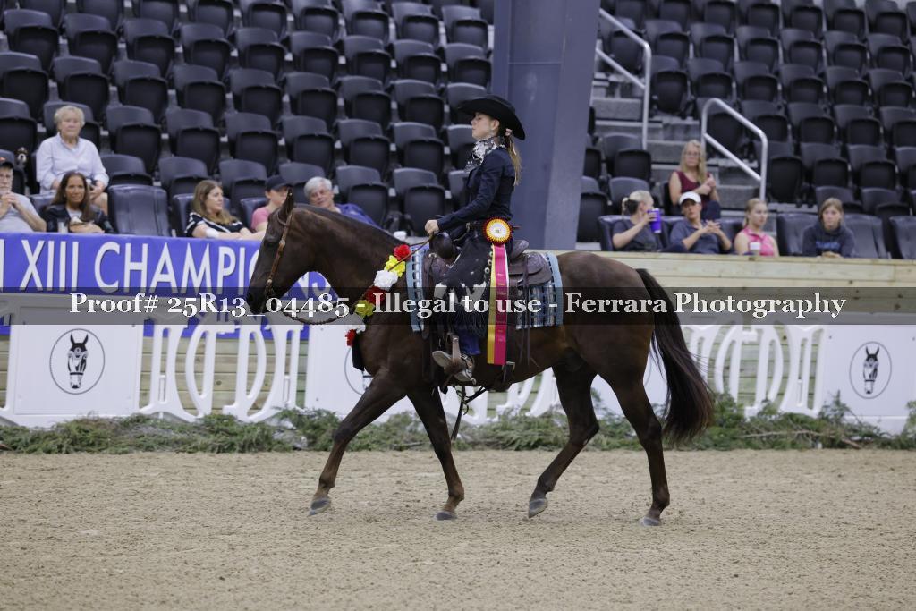 Proof 25R13_04485