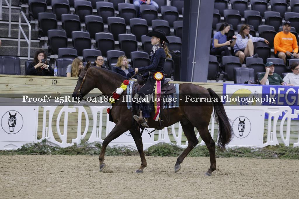Proof 25R13_04486