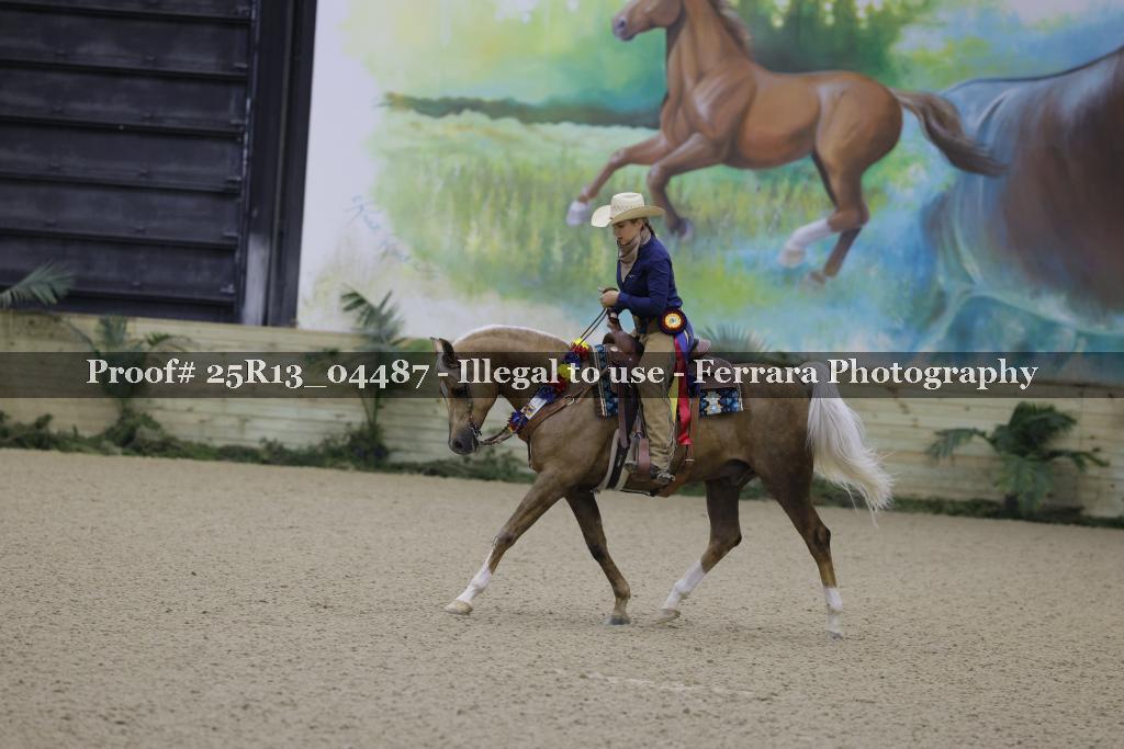 Proof 25R13_04487