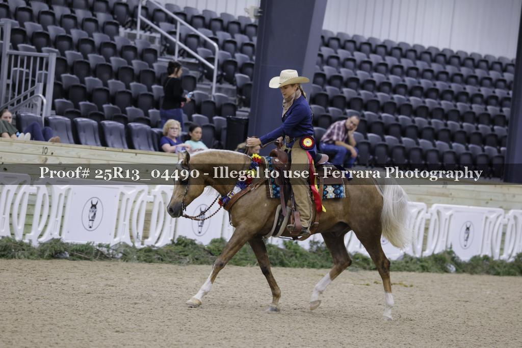 Proof 25R13_04490