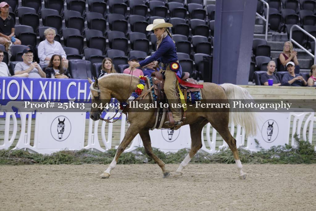 Proof 25R13_04493