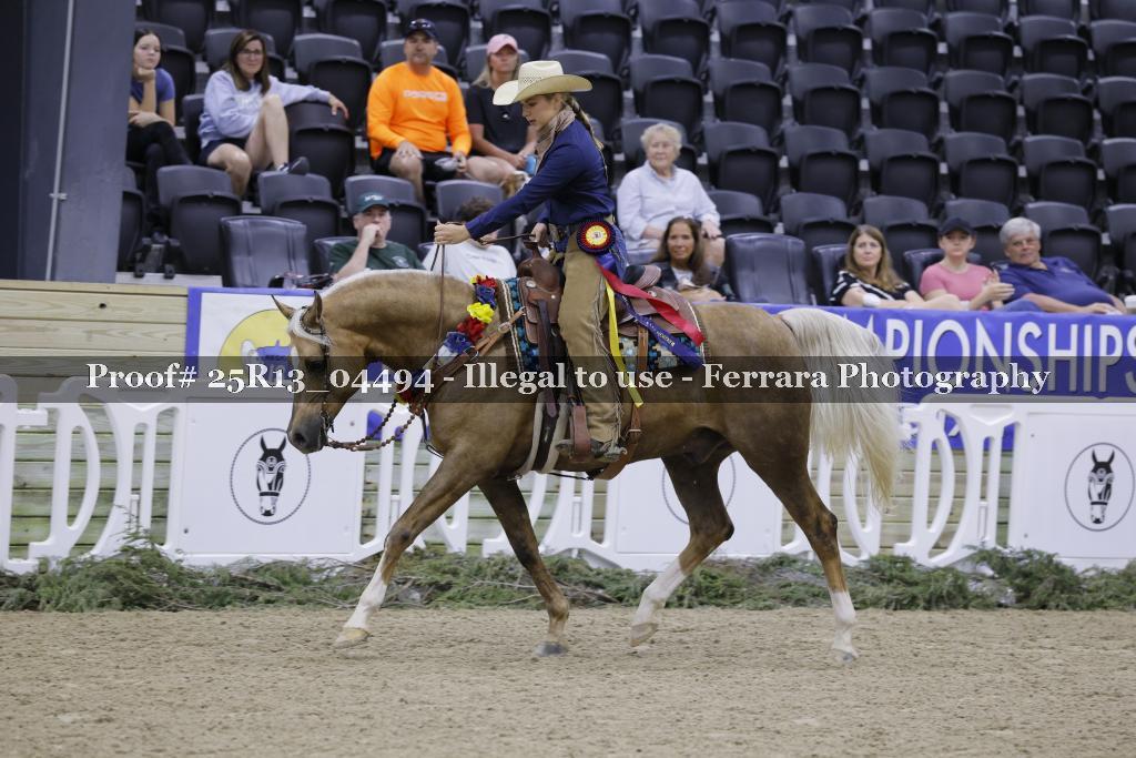 Proof 25R13_04494
