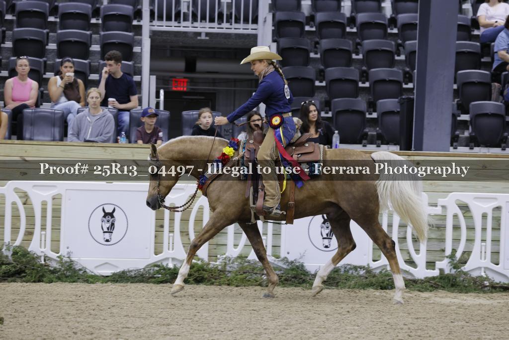 Proof 25R13_04497