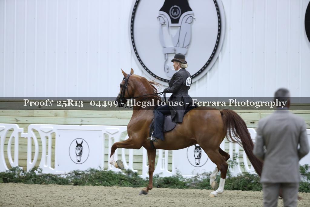 Proof 25R13_04499