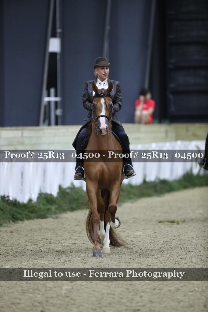 Proof 25R13_04500