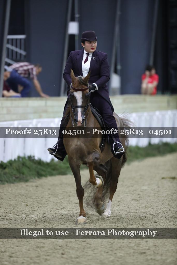 Proof 25R13_04501