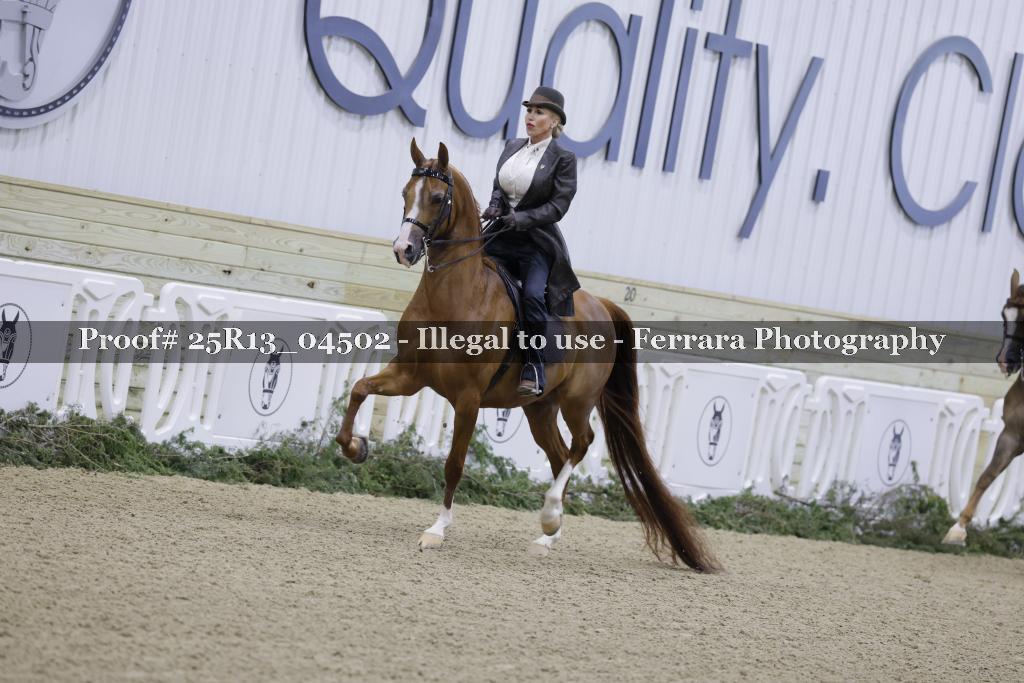 Proof 25R13_04502
