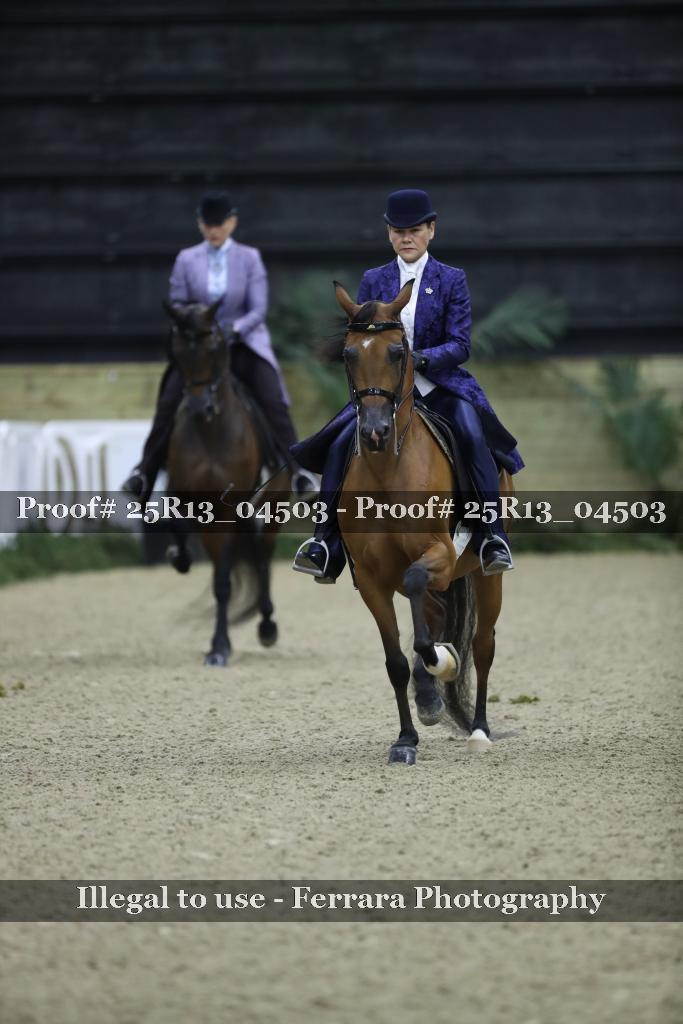 Proof 25R13_04503