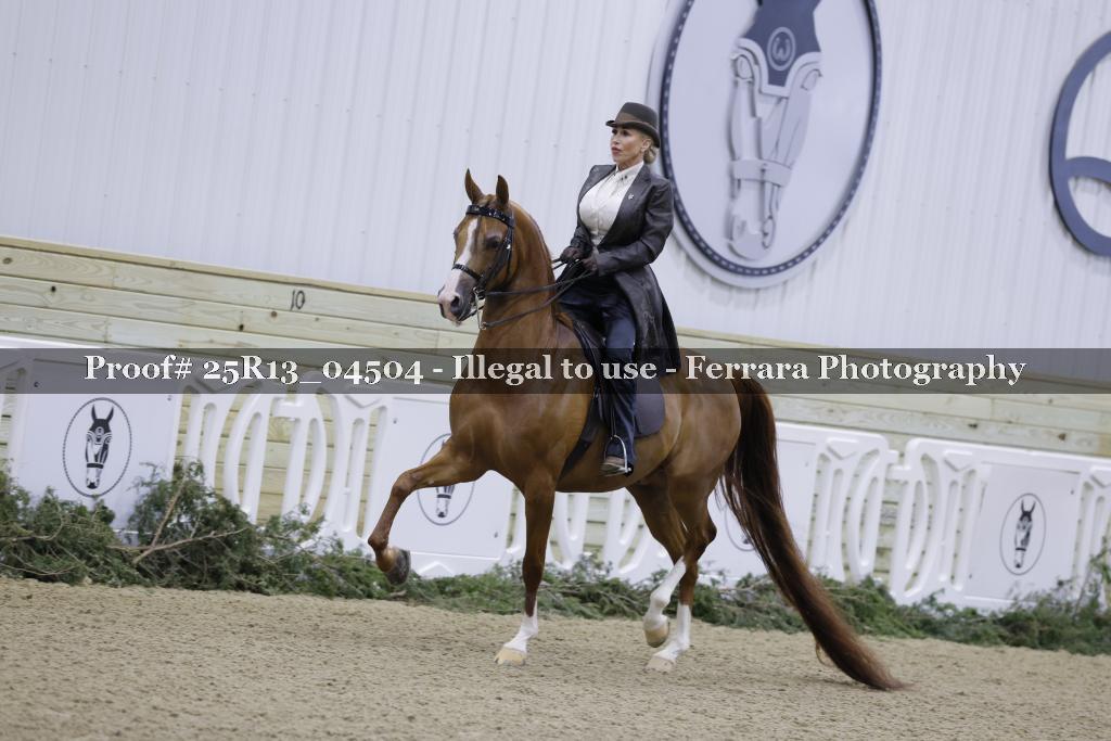 Proof 25R13_04504