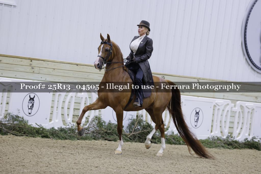Proof 25R13_04505
