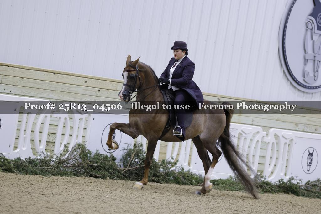 Proof 25R13_04506