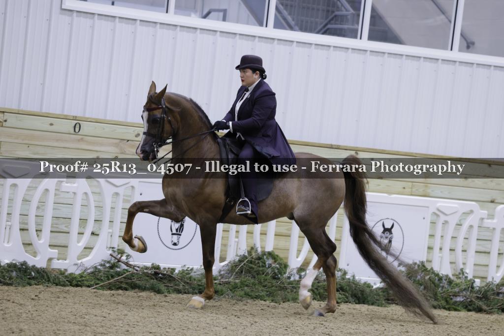 Proof 25R13_04507