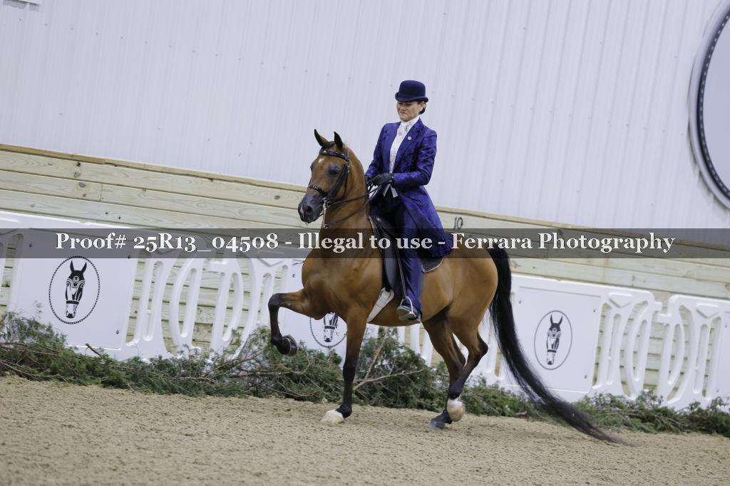 Proof 25R13_04508