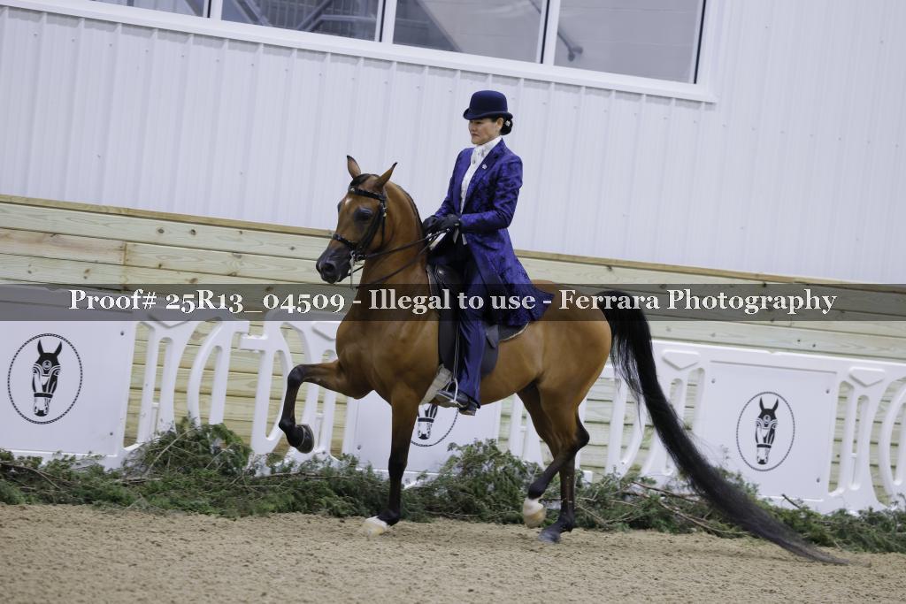 Proof 25R13_04509