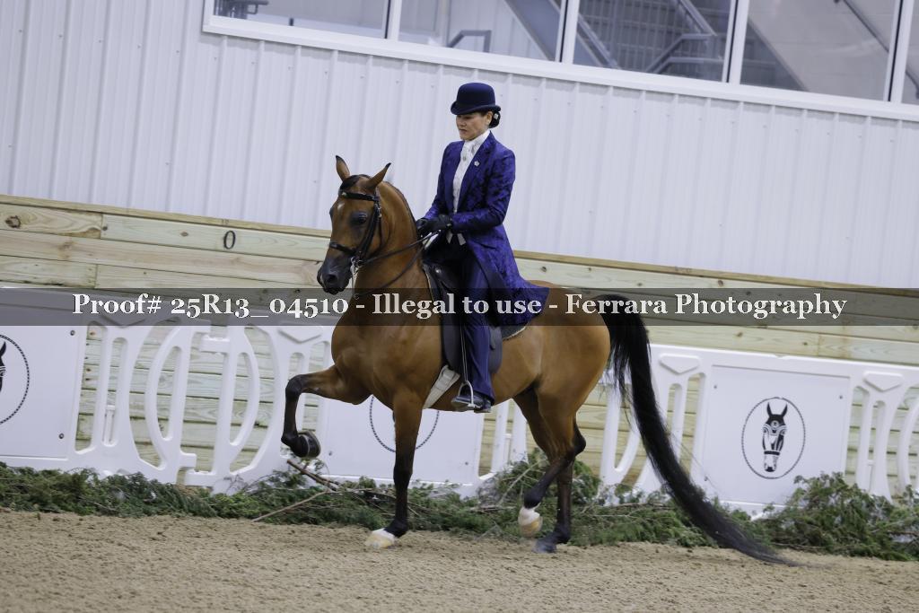 Proof 25R13_04510