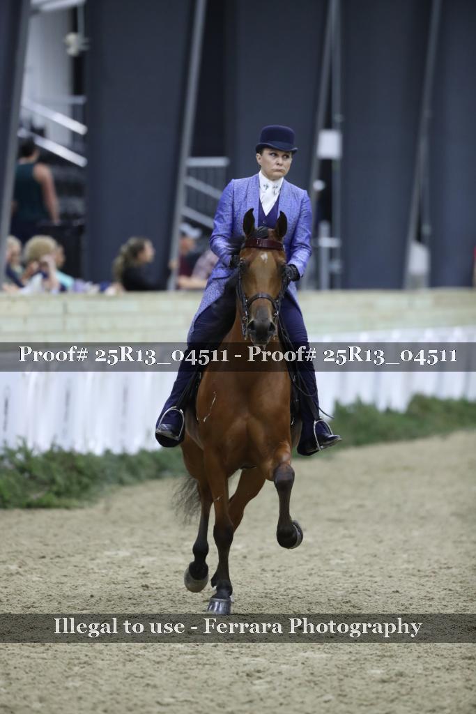 Proof 25R13_04511