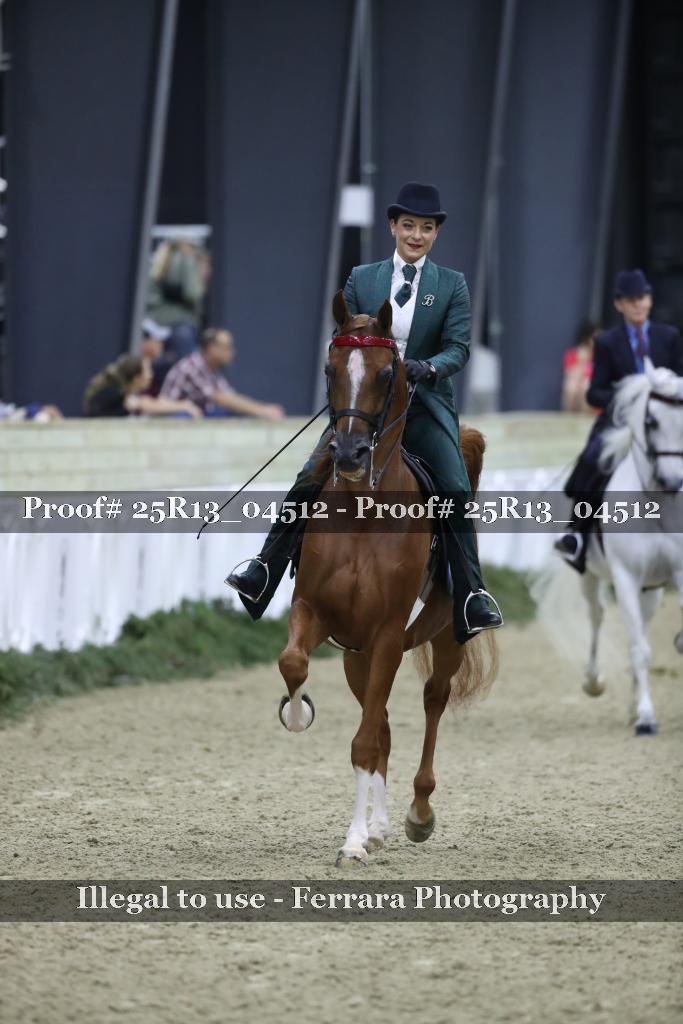 Proof 25R13_04512
