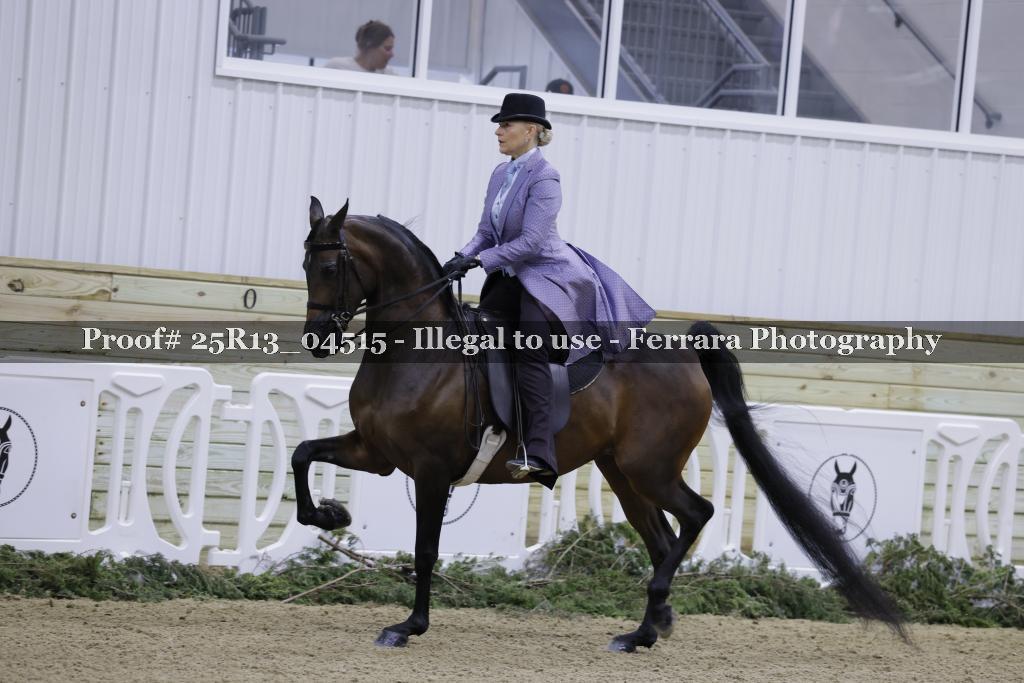 Proof 25R13_04515