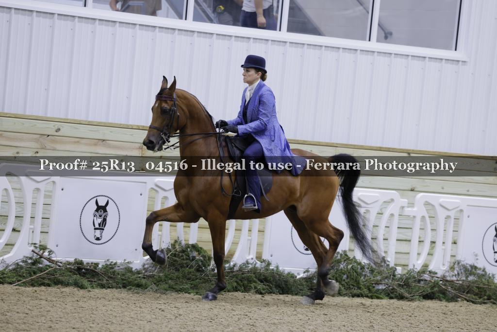 Proof 25R13_04516