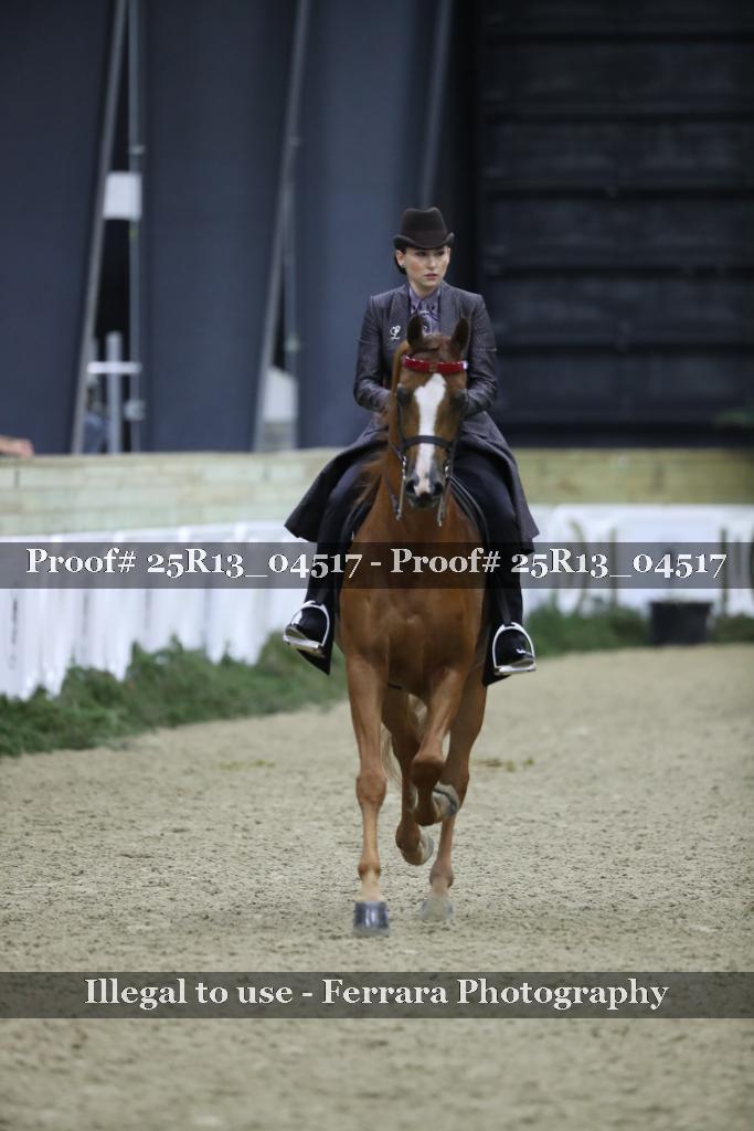 Proof 25R13_04517