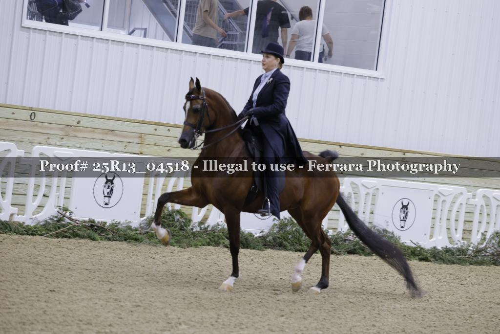 Proof 25R13_04518