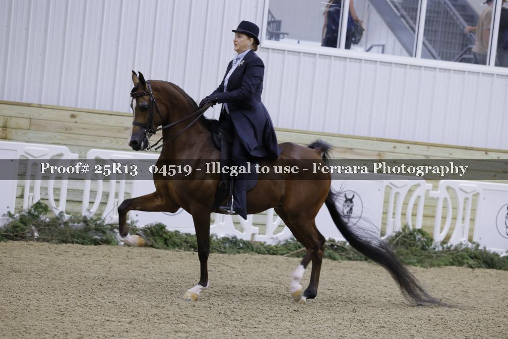 Proof 25R13_04519