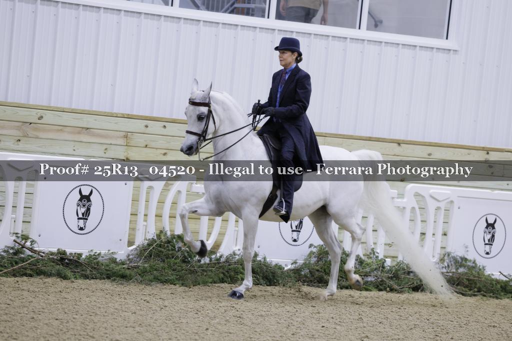 Proof 25R13_04520
