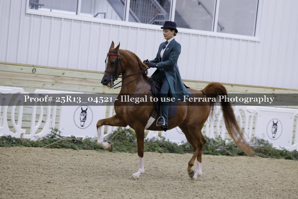 Proof 25R13_04521