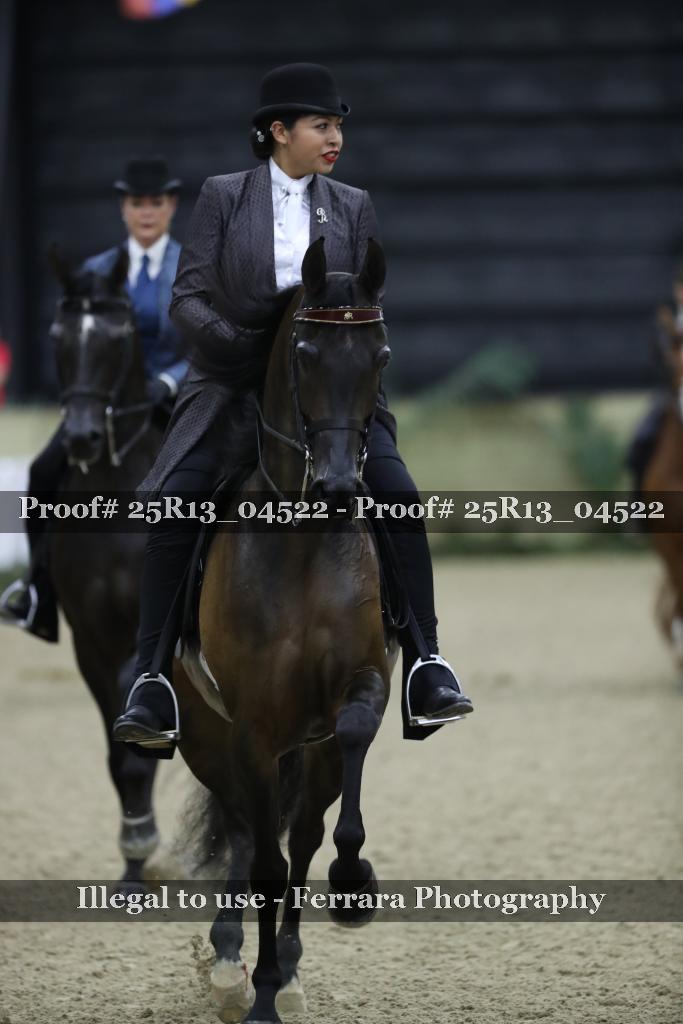 Proof 25R13_04522