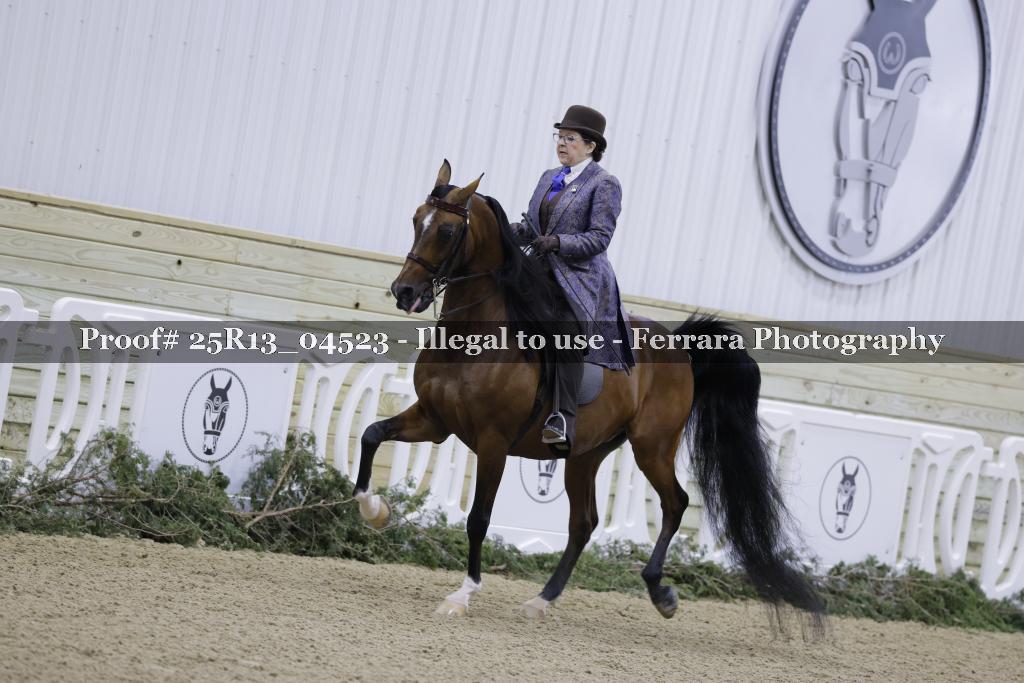 Proof 25R13_04523
