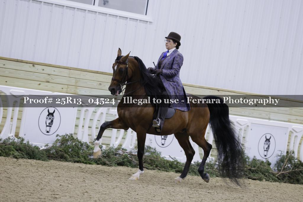 Proof 25R13_04524