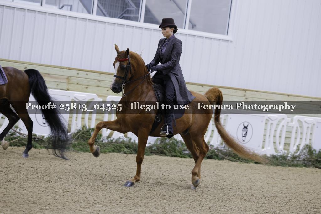 Proof 25R13_04525