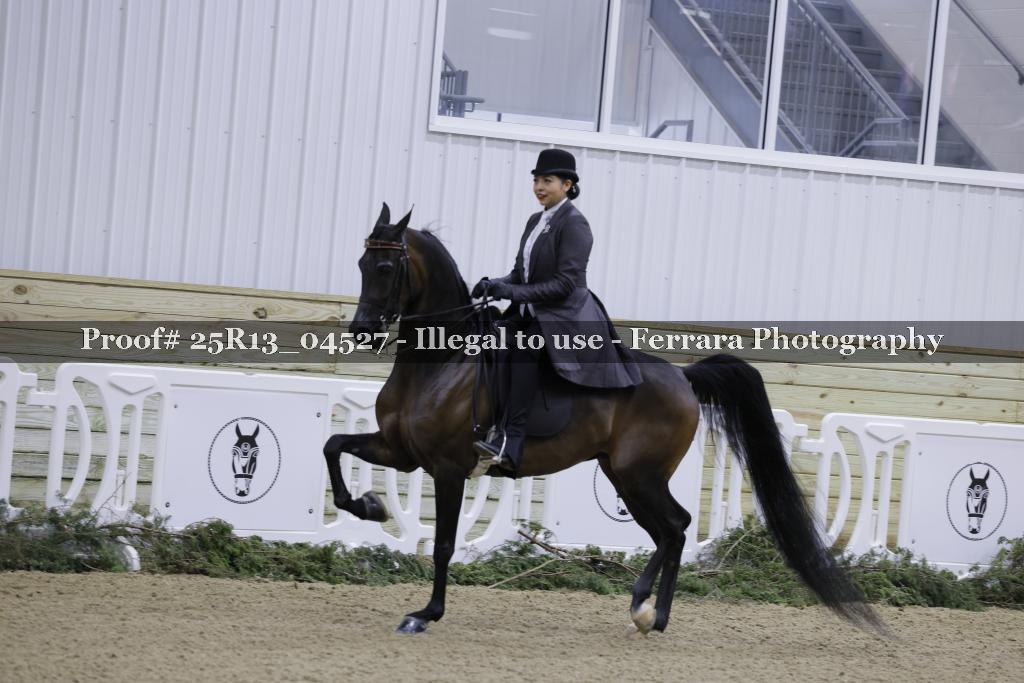 Proof 25R13_04527